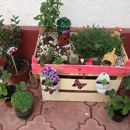 Aladin&arabella Saraybosna